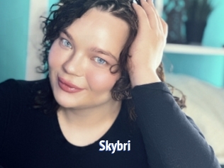 Skybri