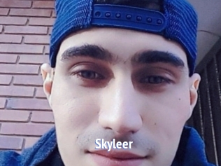 Skyleer