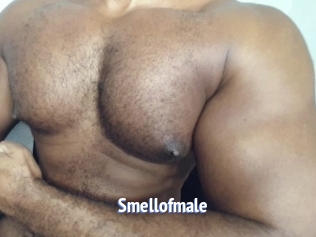 smellofmale Telefon Kontakte