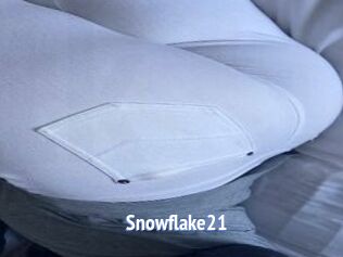 Snowflake21