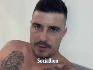 Sociallion