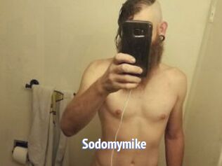 Sodomymike