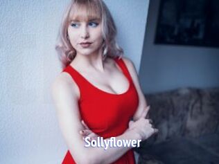 Sollyflower