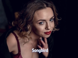 songbird Telefon Kontakte