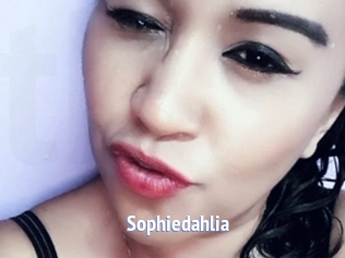 Sophiedahlia