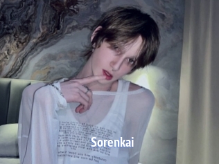 sorenkai Telefon Kontakte