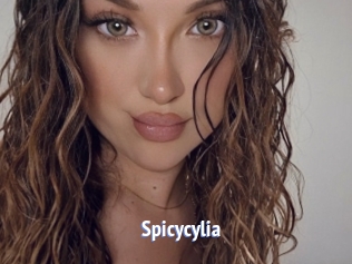 Spicycylia