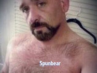 Spunbear
