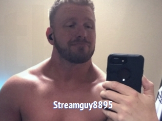 Streamguy8895
