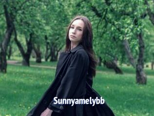 Sunnyamelybb