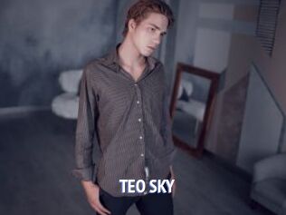 TEO_SKY
