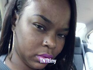 T_N_Ttiny