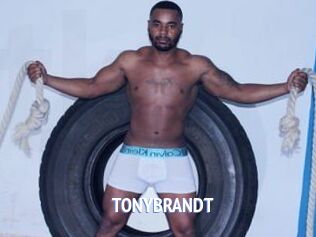 TONYBRANDT