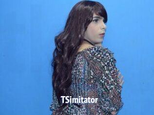 TSimitator