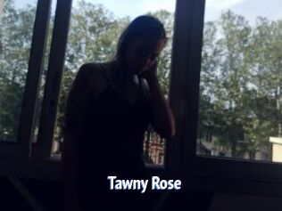 Tawny_Rose