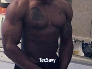 TecSavy