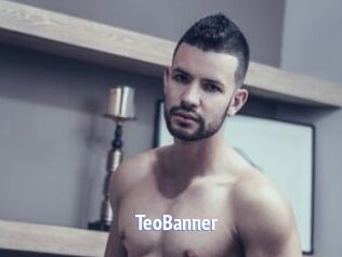 TeoBanner