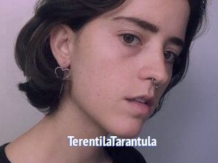 TerentilaTarantula