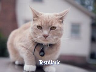 TestAlaric