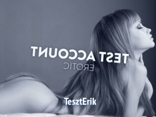 TesztErik