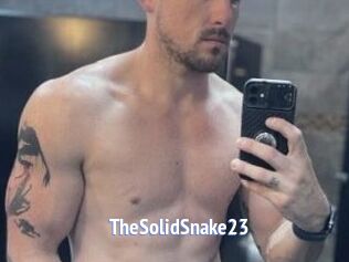 TheSolidSnake23