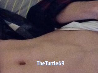 TheTurtle69