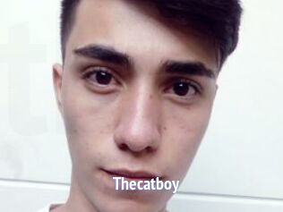 Thecatboy
