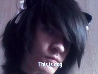 This_is_dog