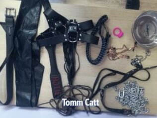 Tomm_Catt