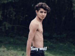 Tony_wolf