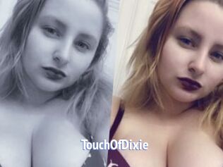 TouchOfDixie