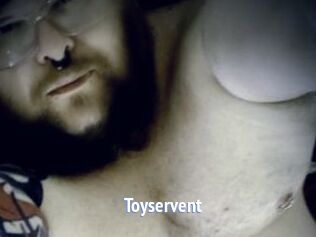 Toyservent