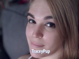 TraceyPup