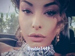 Trouble3449