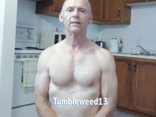 Tumbleweed13