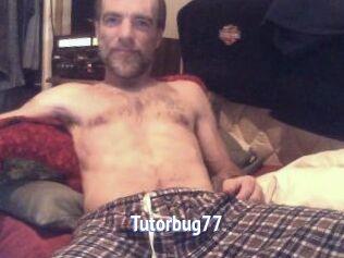 Tutorbug77