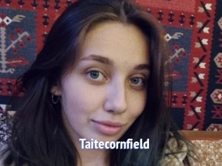 Taitecornfield