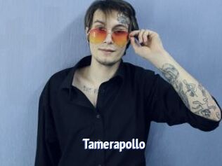 Tamerapollo