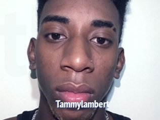 Tammylambert