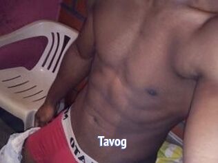 Tavog