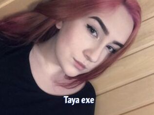 Taya_exe