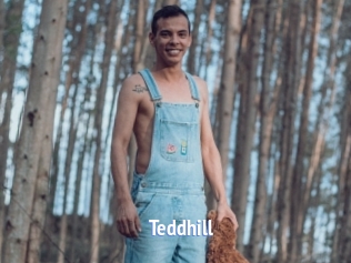 Teddhill