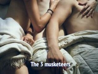 the_3_musketeers Telefon Kontakte