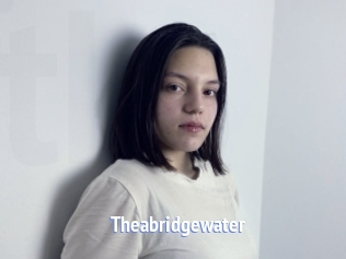 Theabridgewater