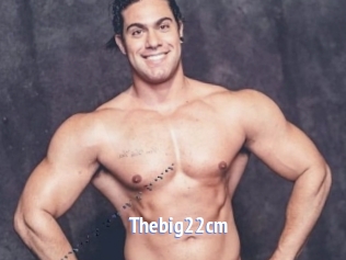Thebig22cm