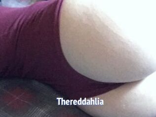 Thereddahlia