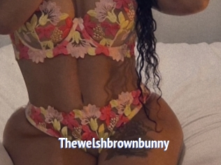 Thewelshbrownbunny