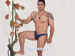thormuscle1 Telefon Kontakte