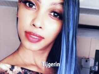 Tijgerin