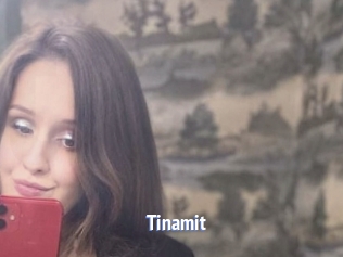 Tinamit
